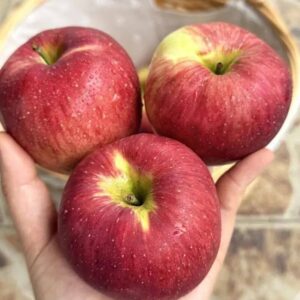 THE FRUIT THAT HEALS FROM WITHIN